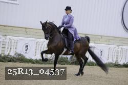 25R13_04537 thumbnail