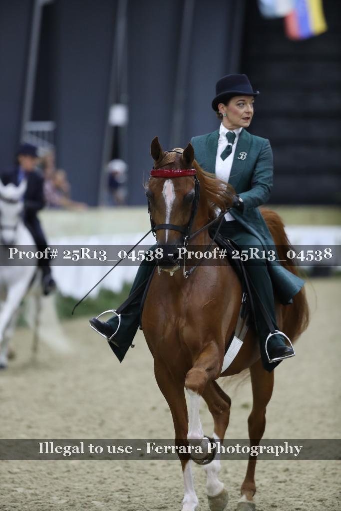 Proof Number 25R13_04538