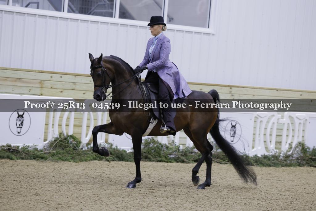 Proof Number 25R13_04539