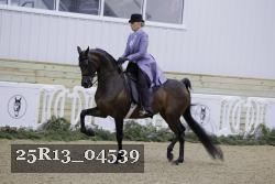 25R13_04539 thumbnail