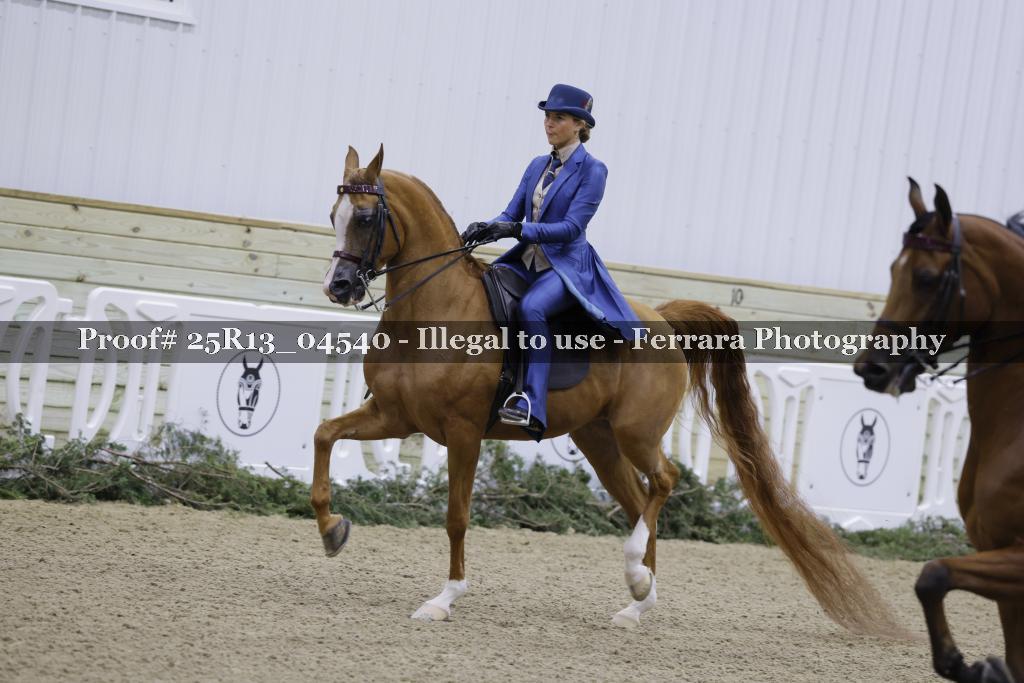 Proof Number 25R13_04540