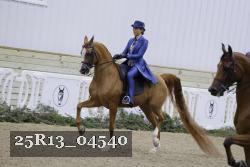25R13_04540 thumbnail