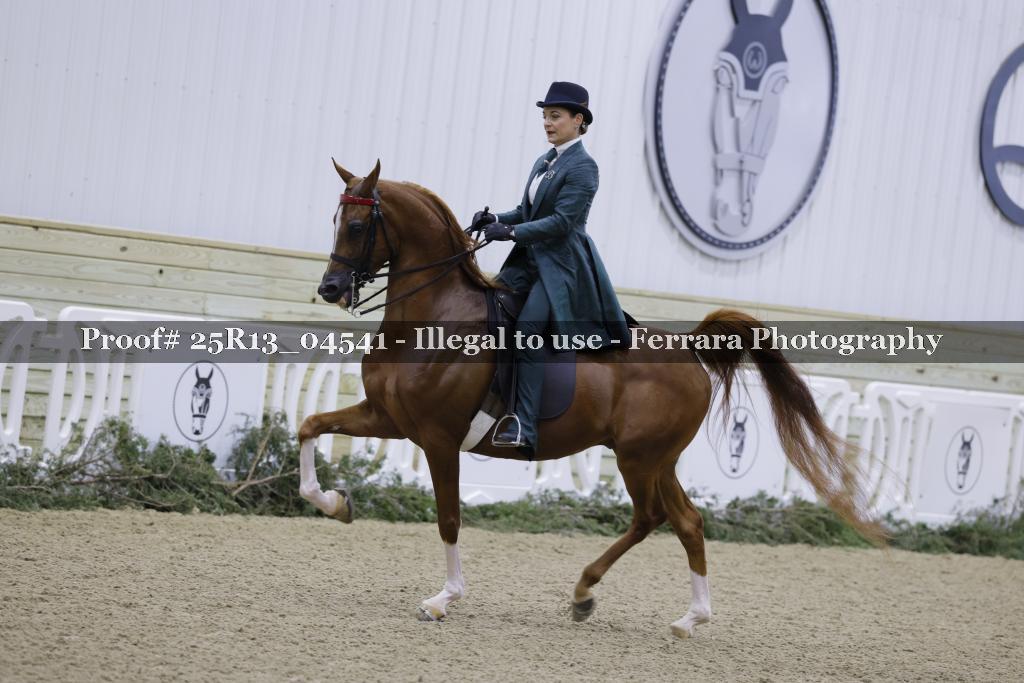 Proof Number 25R13_04541