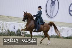 25R13_04541 thumbnail