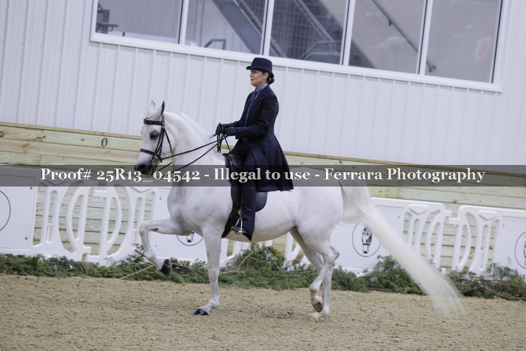 Proof Number 25R13_04542