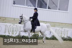 25R13_04542 thumbnail