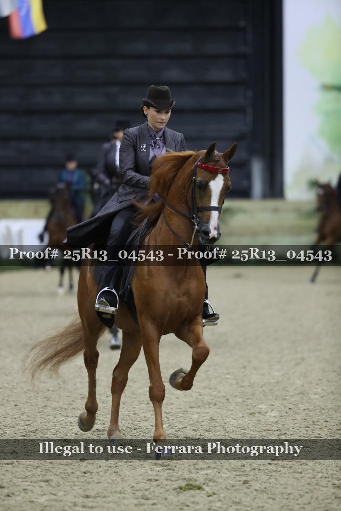 Proof Number 25R13_04543