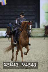 25R13_04543 thumbnail