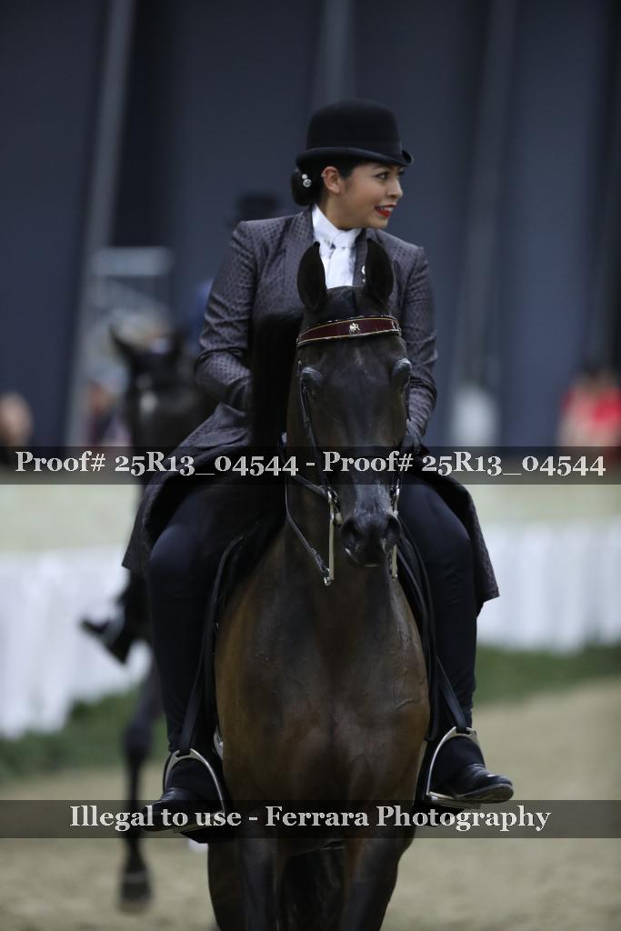 Proof Number 25R13_04544