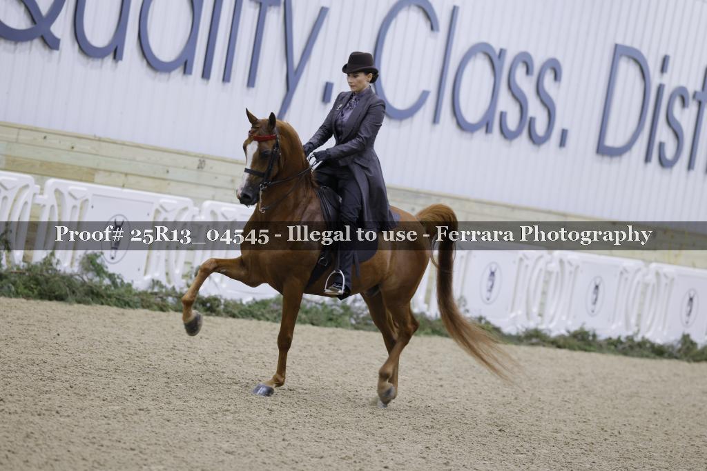 Proof Number 25R13_04545