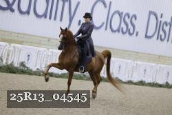 25R13_04545 thumbnail