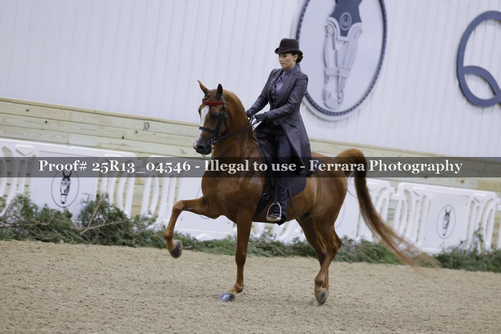 Proof Number 25R13_04546