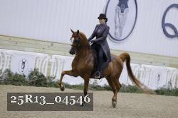 25R13_04546 thumbnail
