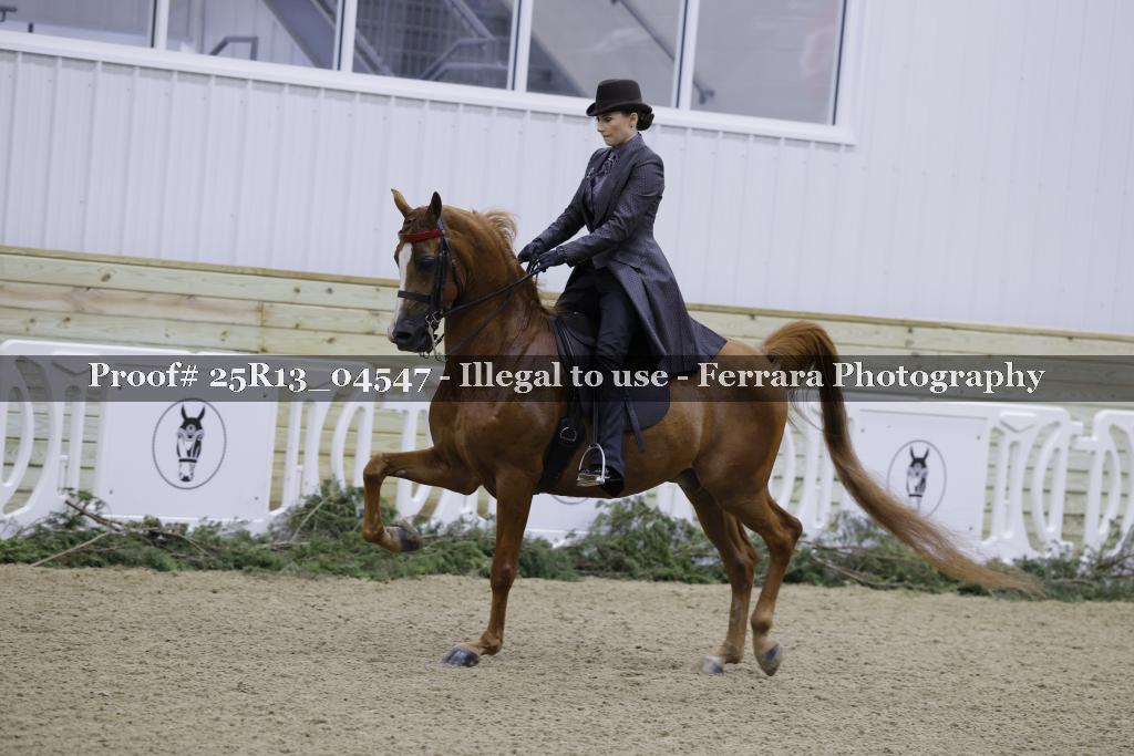Proof Number 25R13_04547