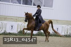 25R13_04547 thumbnail