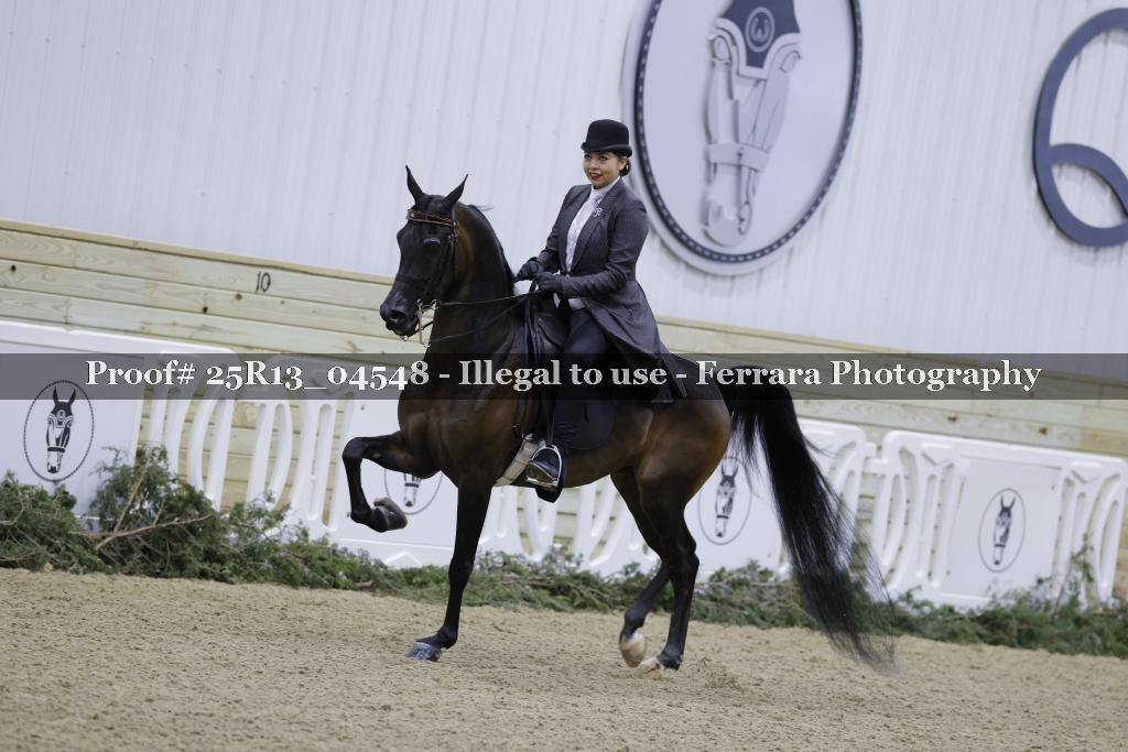 Proof Number 25R13_04548