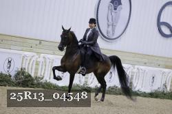 25R13_04548 thumbnail