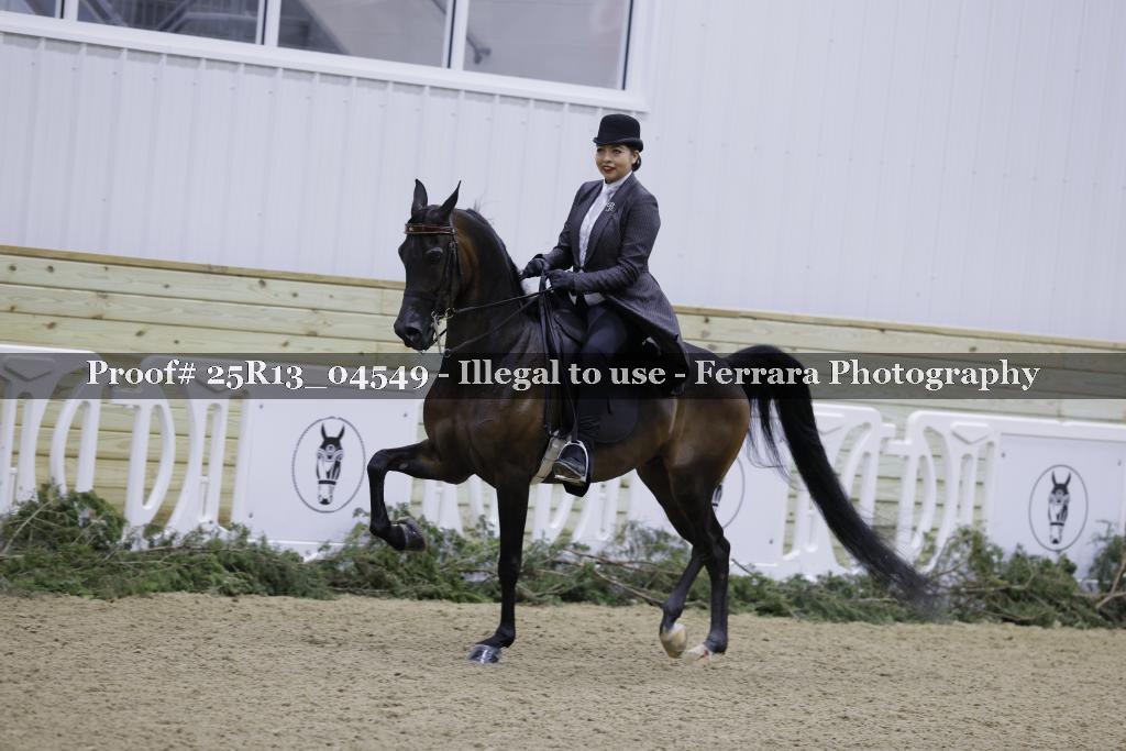 Proof Number 25R13_04549