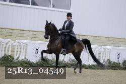 25R13_04549 thumbnail