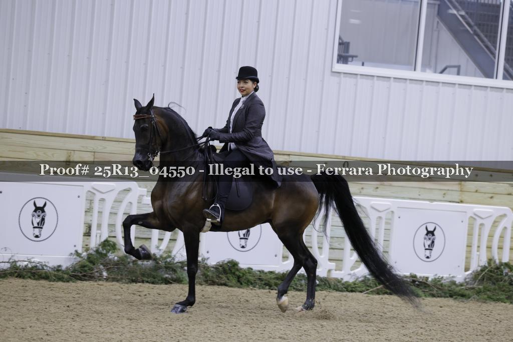 Proof Number 25R13_04550