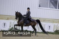 25R13_04550 thumbnail