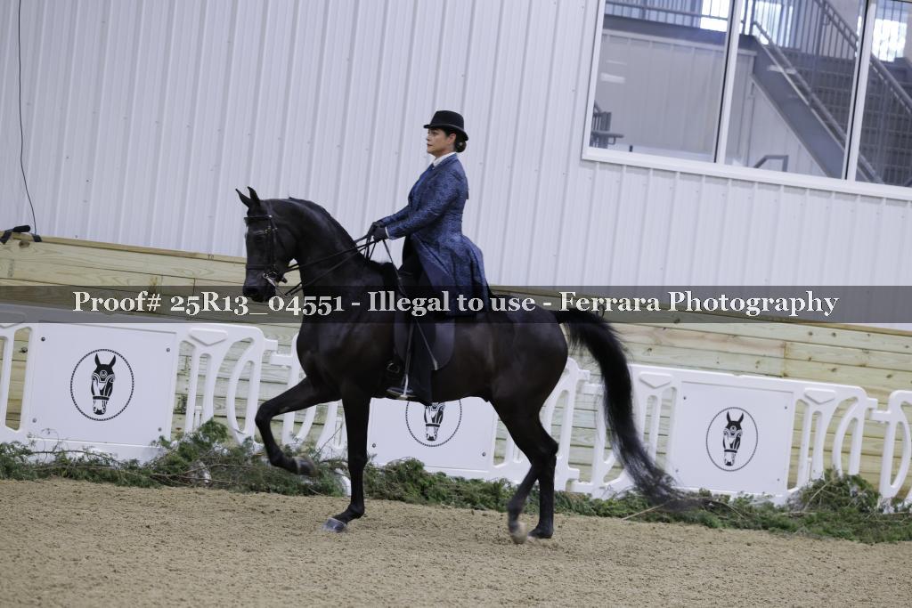 Proof Number 25R13_04551
