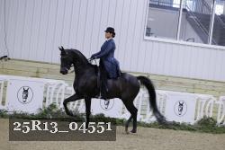 25R13_04551 thumbnail