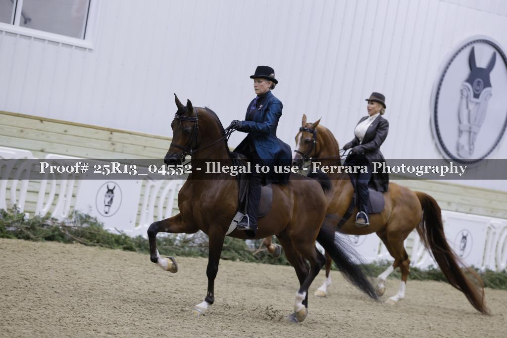 Proof Number 25R13_04552