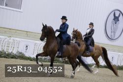 25R13_04552 thumbnail