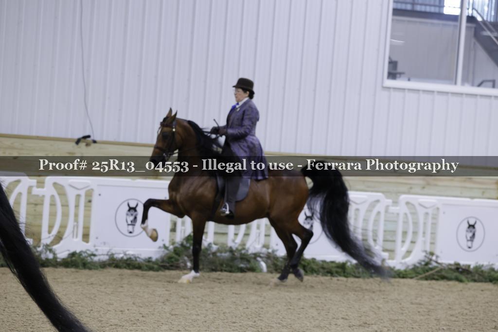 Proof Number 25R13_04553