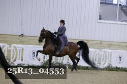 25R13_04553 thumbnail