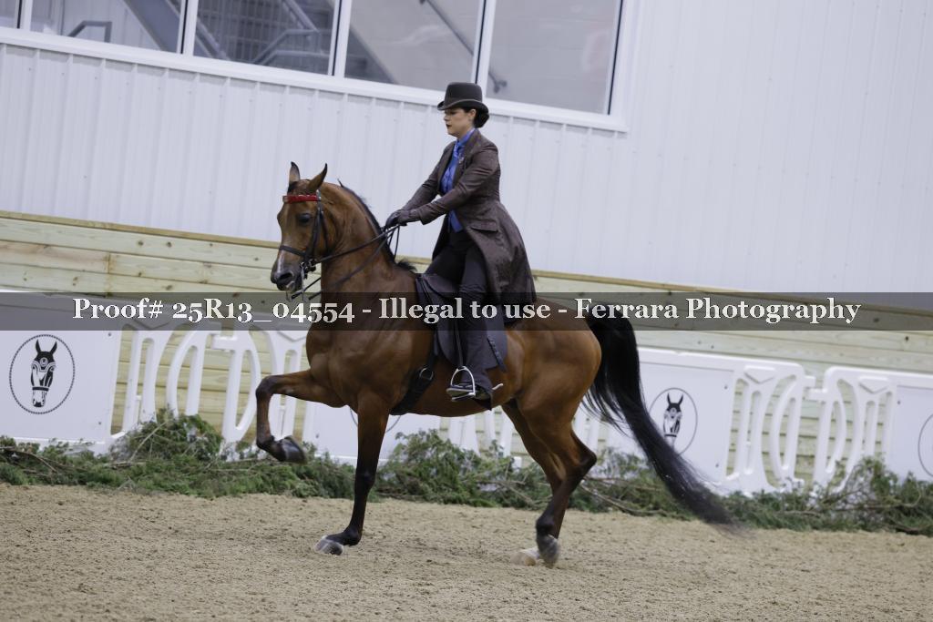 Proof Number 25R13_04554