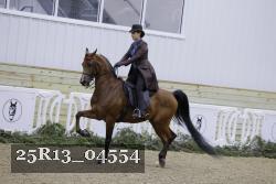 25R13_04554 thumbnail