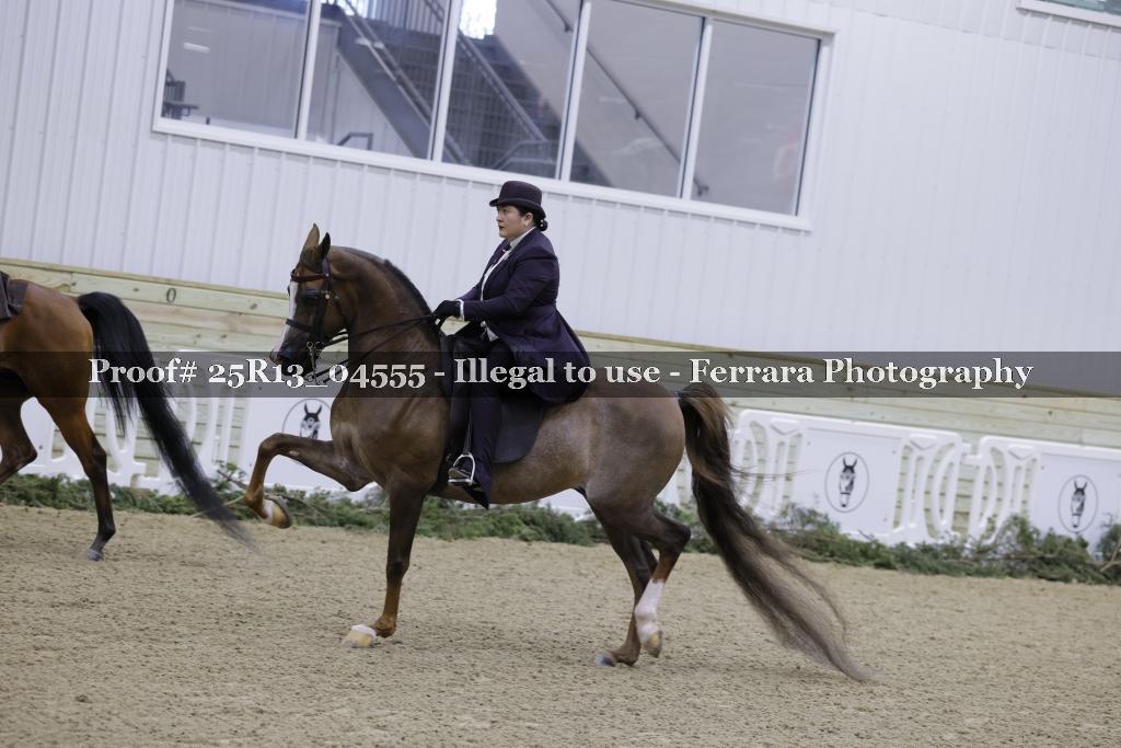 Proof Number 25R13_04555