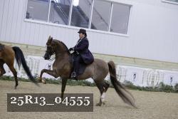 25R13_04555 thumbnail