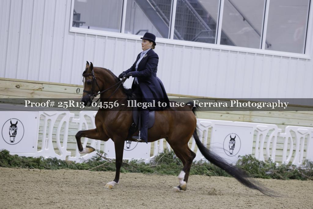 Proof Number 25R13_04556