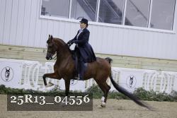 25R13_04556 thumbnail