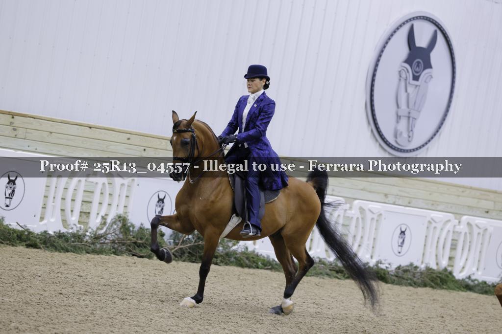 Proof Number 25R13_04557