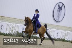 25R13_04557 thumbnail