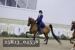 25R13_04558 thumbnail