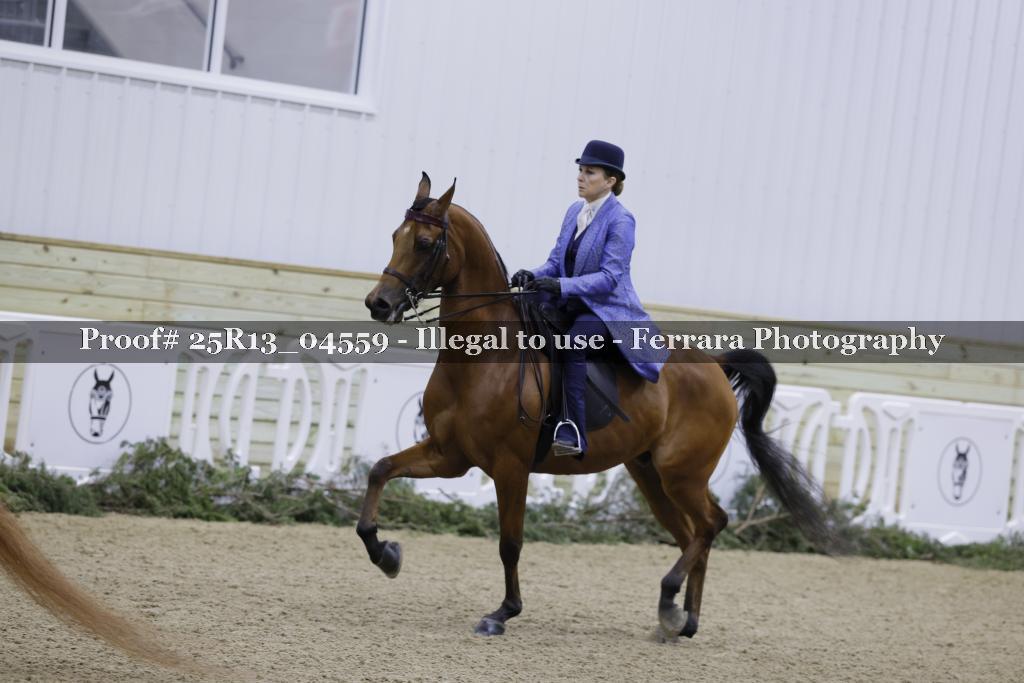 Proof Number 25R13_04559