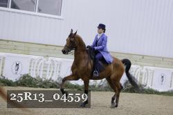 25R13_04559 thumbnail