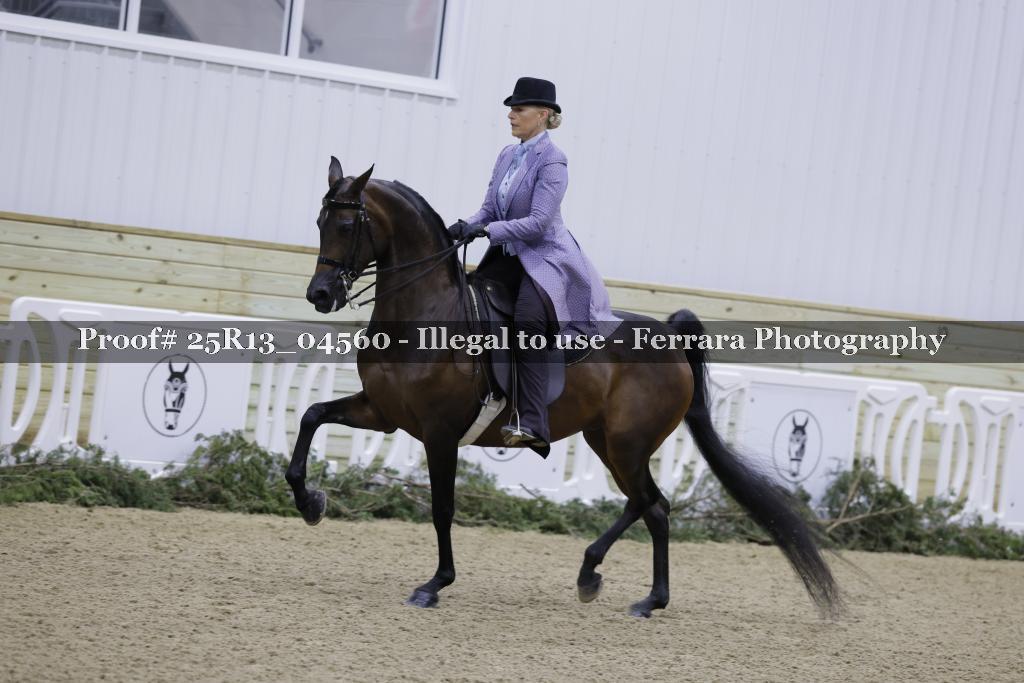 Proof Number 25R13_04560