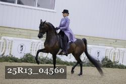 25R13_04560 thumbnail