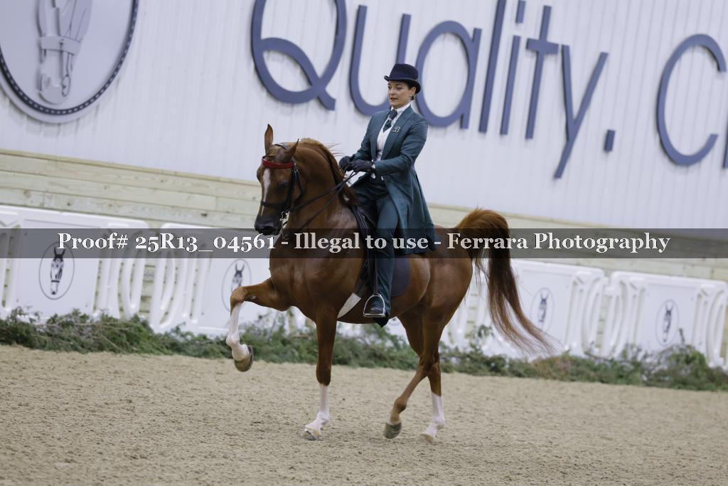 Proof Number 25R13_04561
