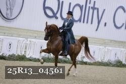 25R13_04561 thumbnail