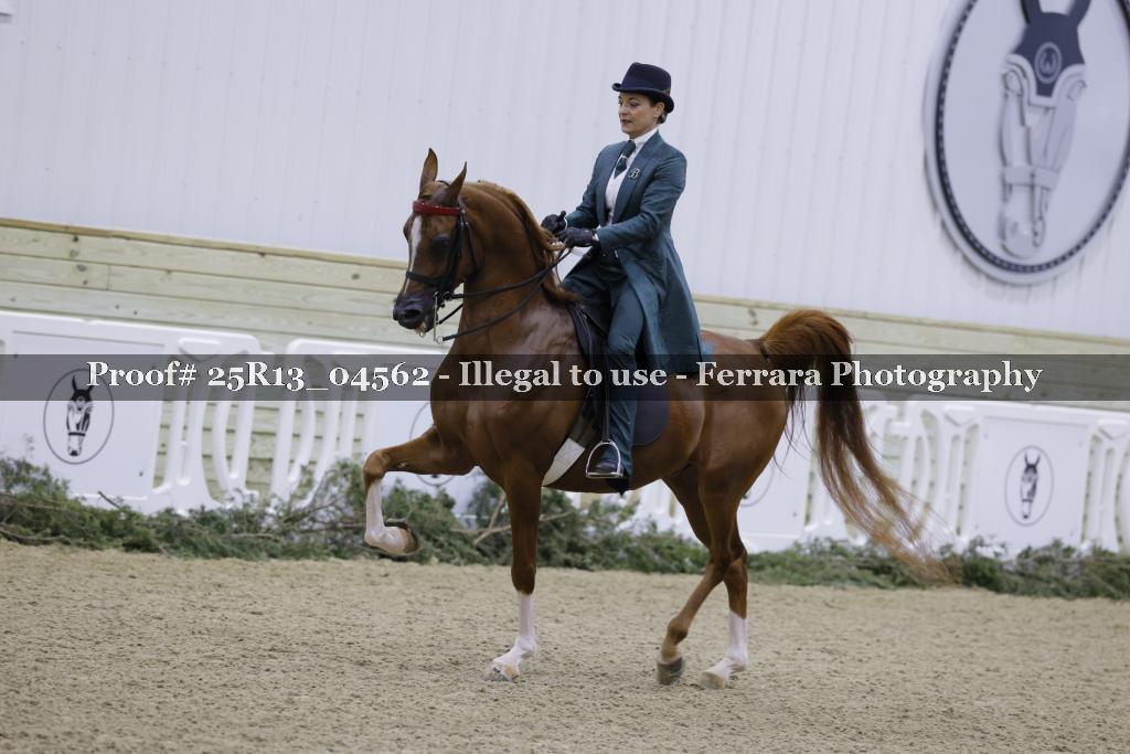 Proof Number 25R13_04562