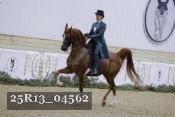 25R13_04562 thumbnail