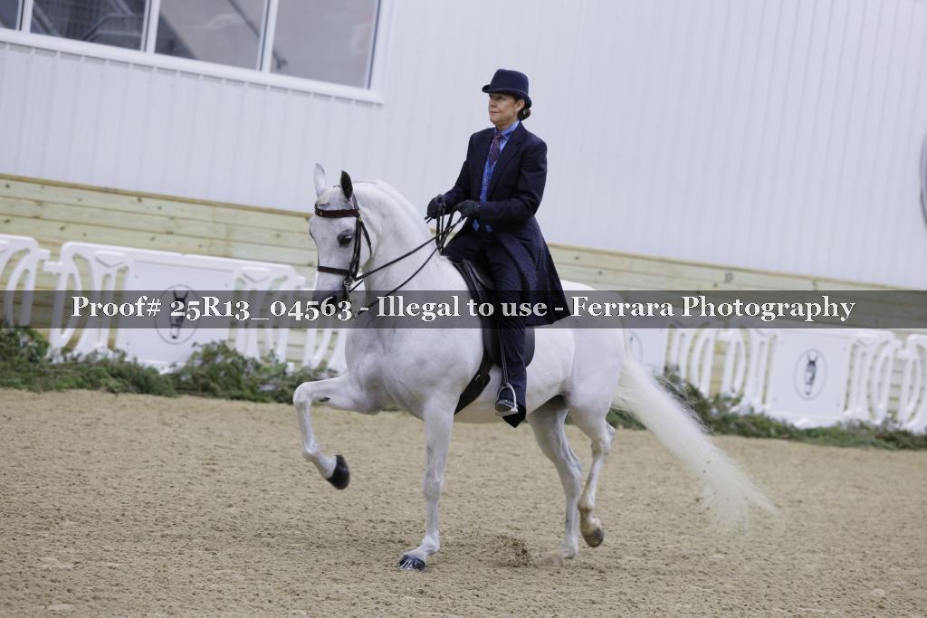 Proof Number 25R13_04563