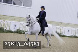 25R13_04563 thumbnail